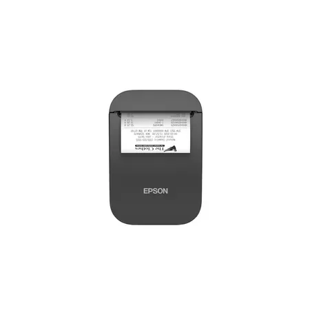 Epson TM P80II