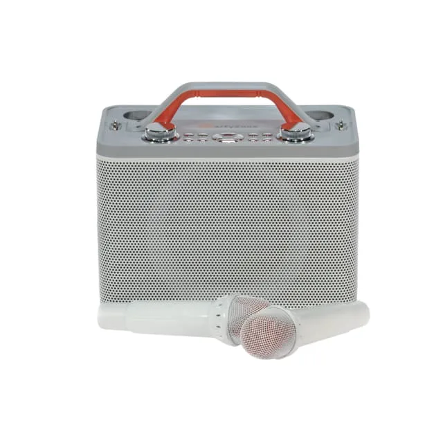 Partyzone Bluetooth-högtalare med 2 mikrofoner