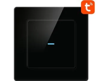 Touch Switch WiFi Avatto N-TS10-B1 Single TUYA