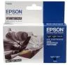 Epson Stylus Photo R3000 Ljus Ljus Svart (T1579)