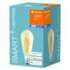 Ledvance Smart+ BT Filament Edison Gold