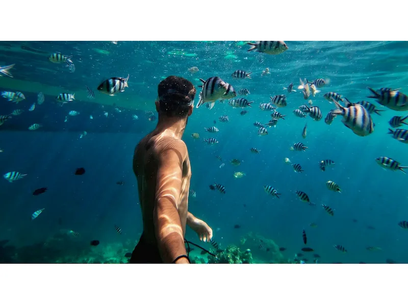 GOPRO HERO11 Black Mini Protective Dive Housing