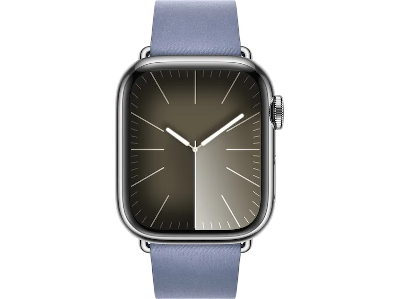 APPLE Watch 41mm Modern Buckle L