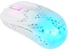 Xtrfy MZ1W RGB Wireless