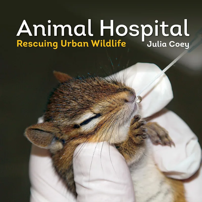 Animal Hospital for Nintendo Switch