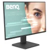 BenQ GW2491