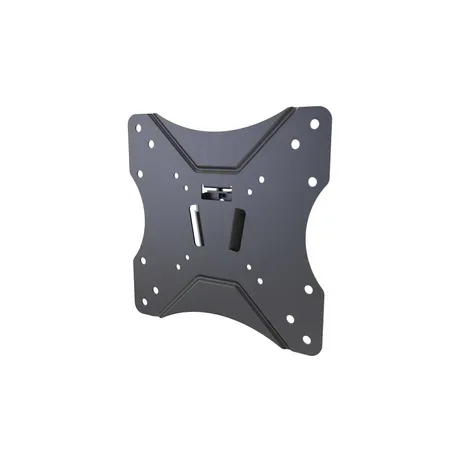Vision VFM-W2X2