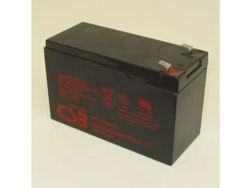 Battery T6 Power NP12-7.2
