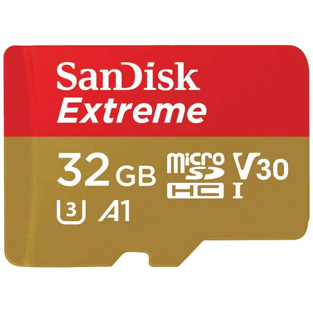 SanDisk Standard