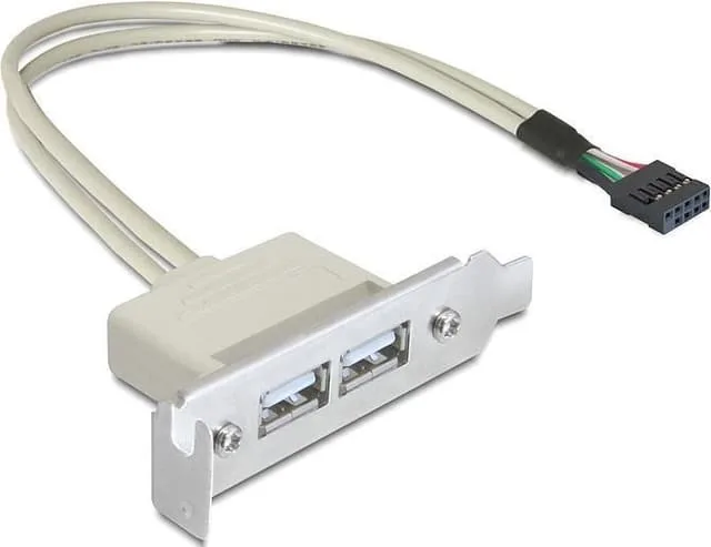 Delock Slot bracket