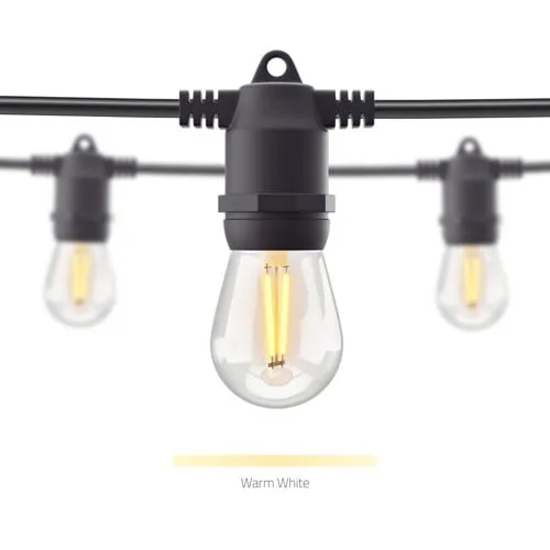 Hombli Smart