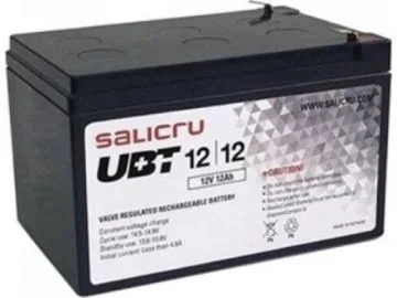 Salicru 013BS000003