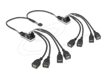 Delock - Hubb - 8 x USB 2.0 - intern