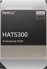 Synology HAT5300