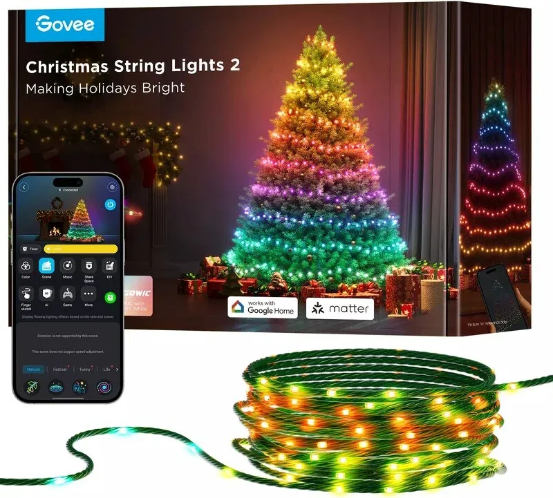 Govee Christmas String Lights 2