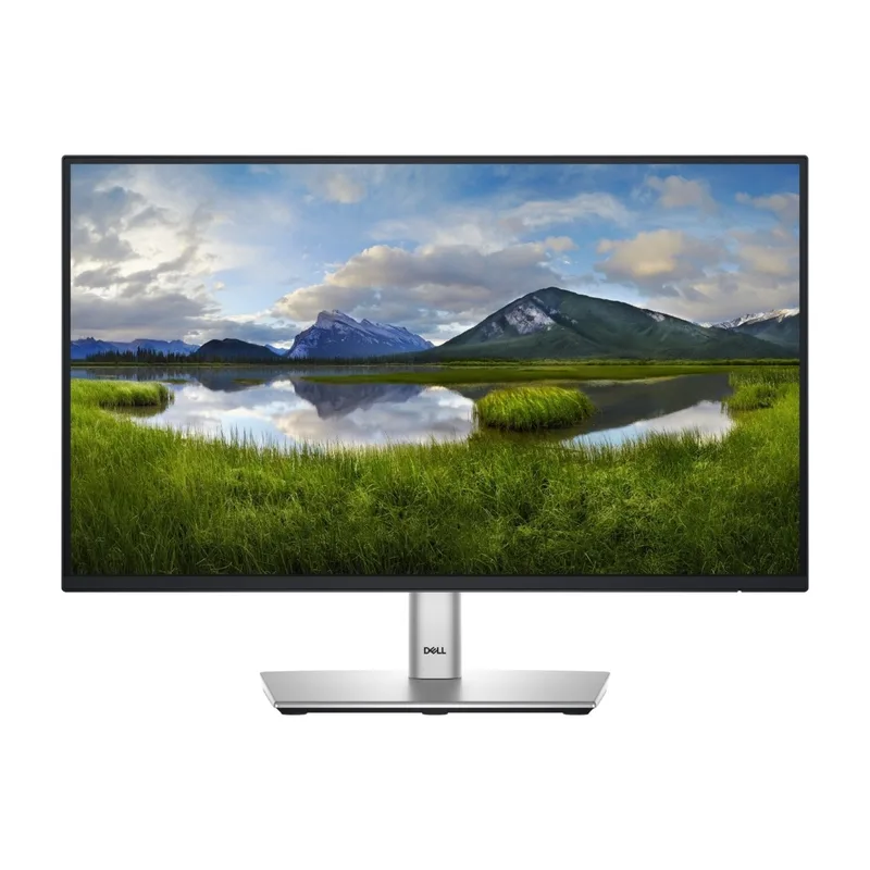 Dell P2225H skärm