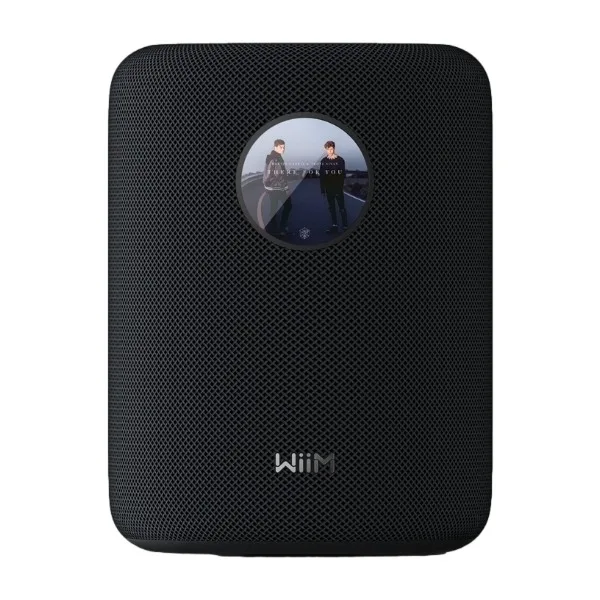 WiiM Sound trådlös högtalare