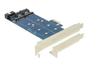 DeLOCK PCI Express Card > 2 x internal M.2 NGFF