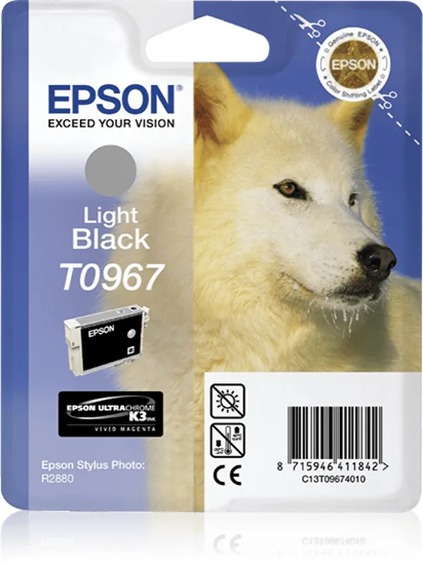 Epson Bläck Ljus Svart