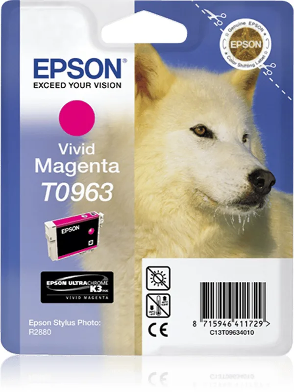 Epson Bläck Vivid Magenta STYLUS Foto R2880