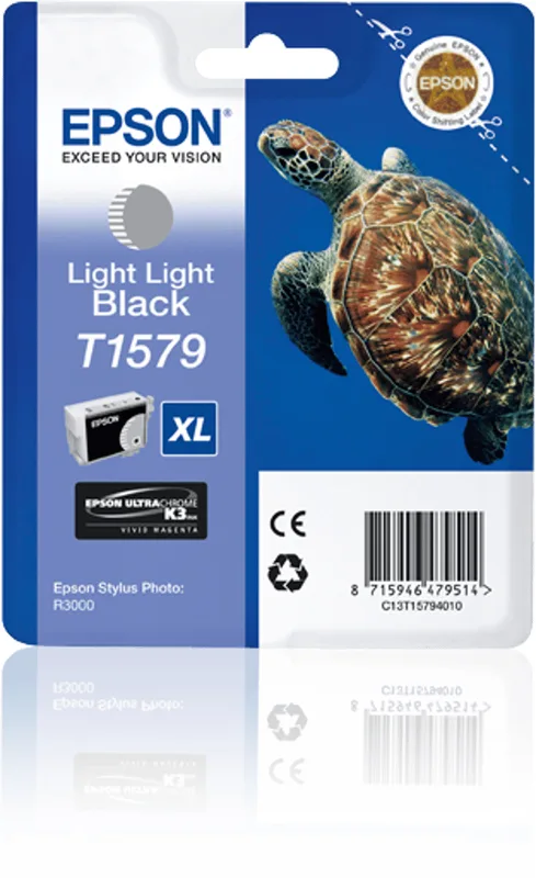 Epson T6069