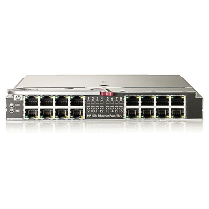 1Gb Ethernet Pass-Thru Module