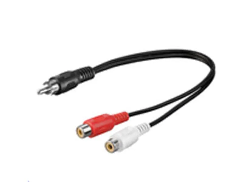 RCA - 2xRCA m - F