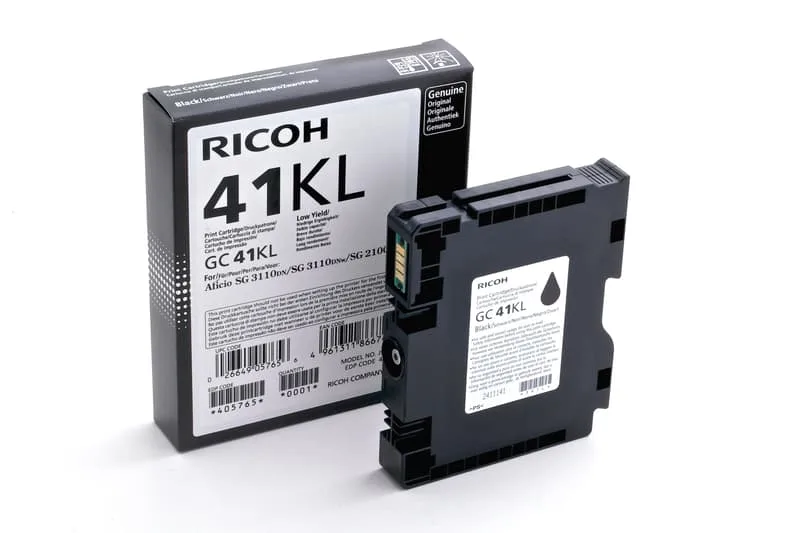 Ricoh GC-41KL Svart, 600 sidor