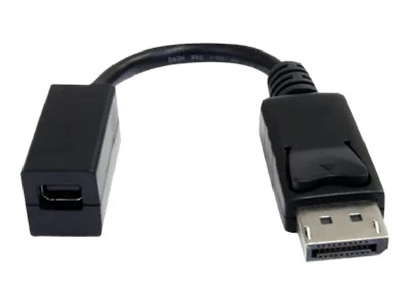 6in DisplayPort to Mini DisplayPort Video Cable Adapter