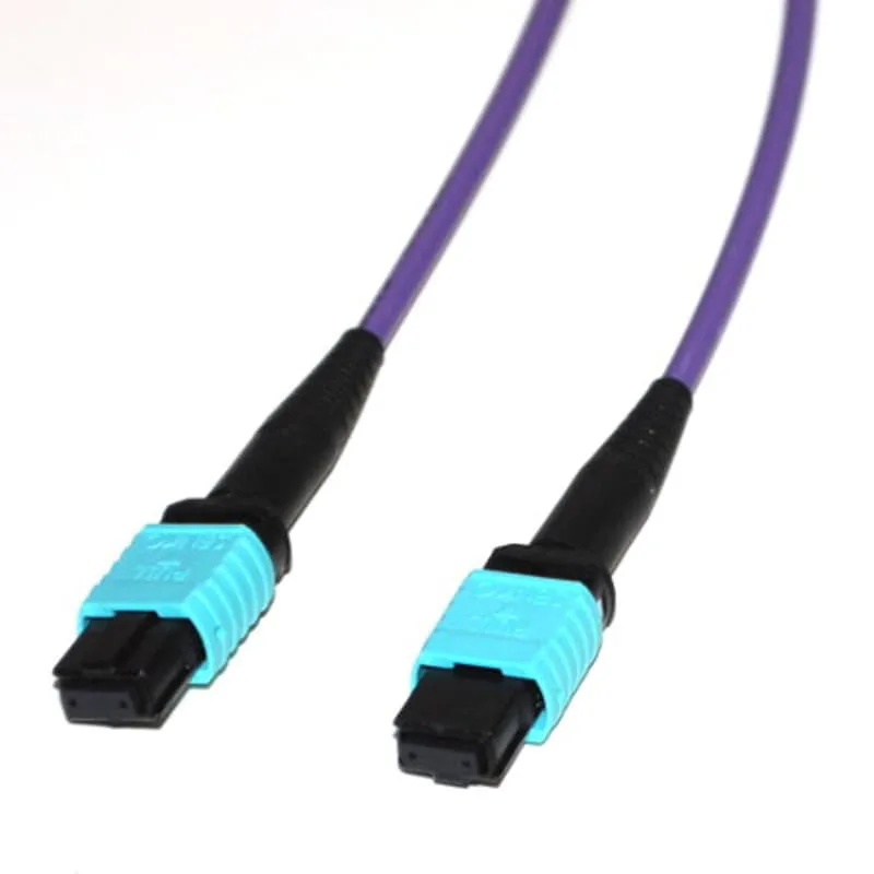 MPO To MPO Multimode OM4 Type B Purple 1M