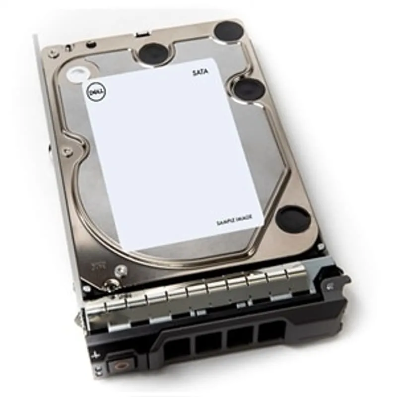 Dell Hot-Swap 12 TB SATA3