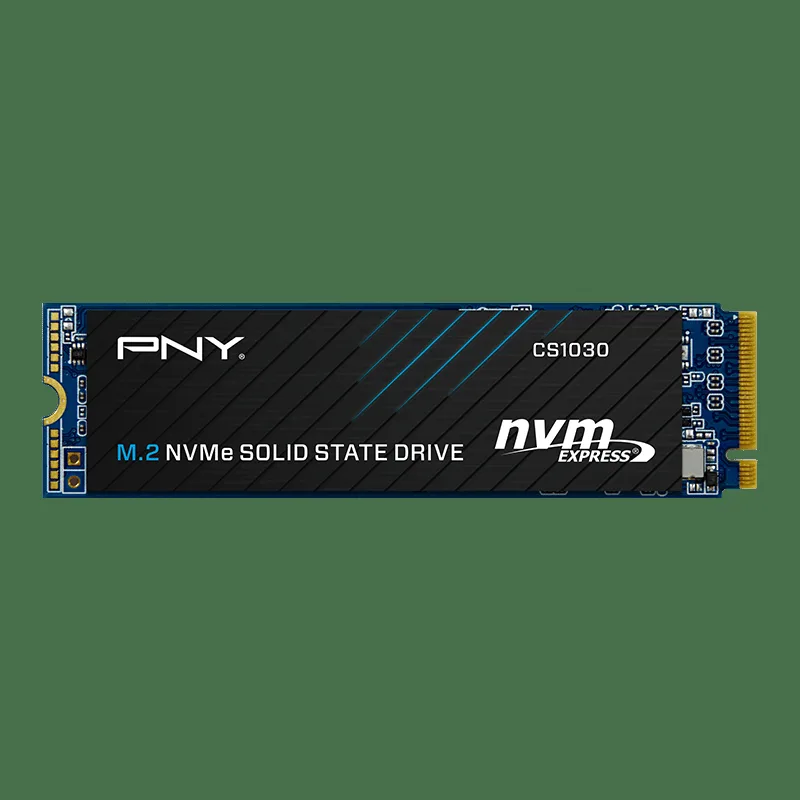 PNY CS1030 - 500 GB