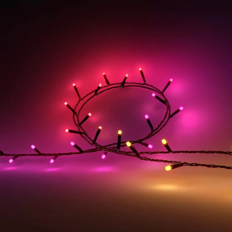 Philips Hue Festavia 500 LEDs 40m