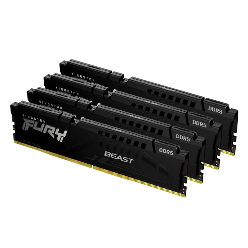 FURY Beast XMP