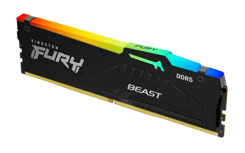 FURY Beast RGB EXPO/XMP