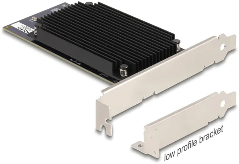 Delock PCI Express x8 Hailo-8 AI Processor