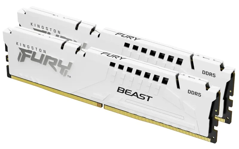 Kingston FURY Beast