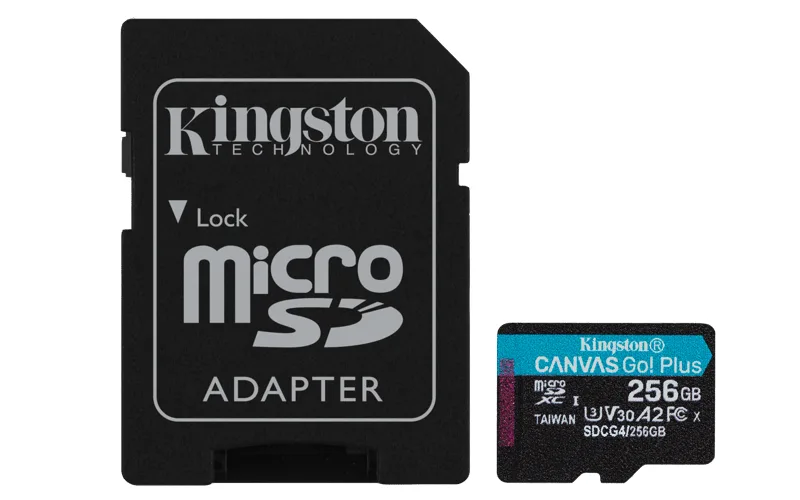 Kingston Canvas Go! Plus Gen4 256 GB