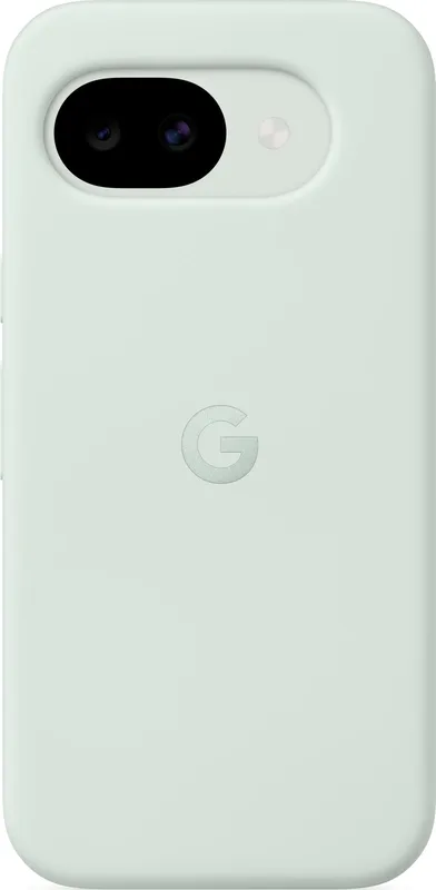 Google Case