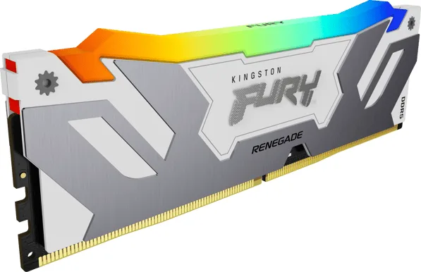 Kingston 24GB