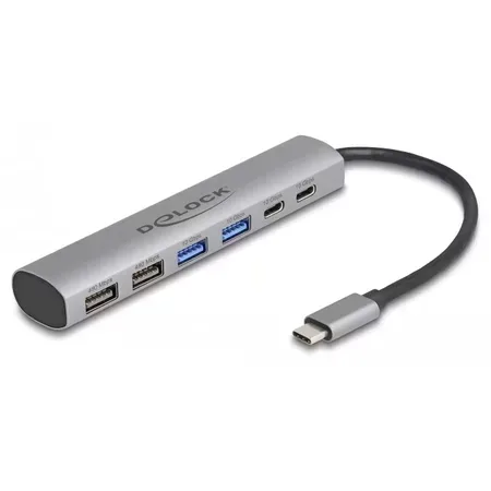Delock 6 Port USB Hub