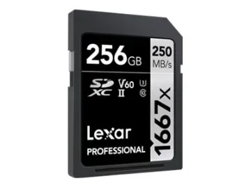 Lexar Professional Flash-minneskort 256 GB