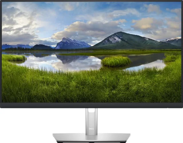 Dell P2423DE skärm