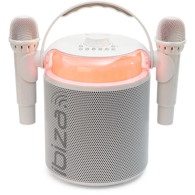 Ibiza karaokesystem med Bluetooth och 2 mikrofoner