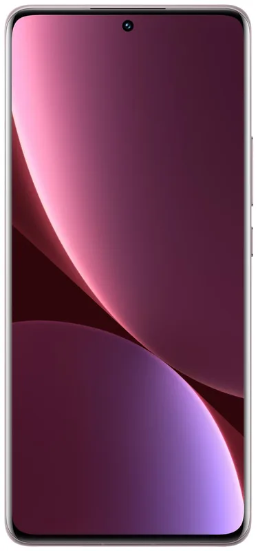 Xiaomi 12 Pro 5G smartphone 12/256GB