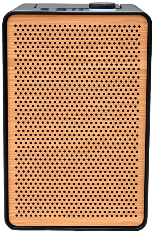 Pure Evoke Spot Wood Edition digitalradio (svart)