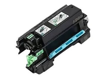 Ricoh P 501H