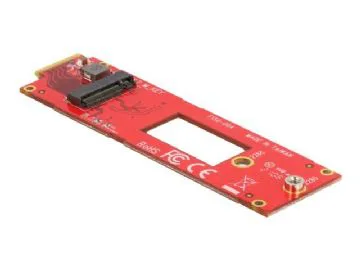 Delock Lagringskontroller M.2 1 kanal M.2 NVMe-kort EDSFF E1.S