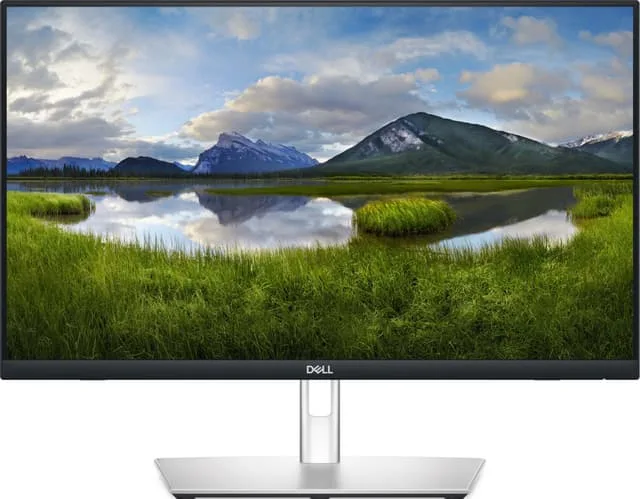 Dell P2424HT