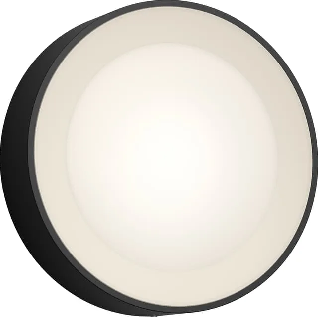 Philips HUE Daylo svart vägglampa 15W